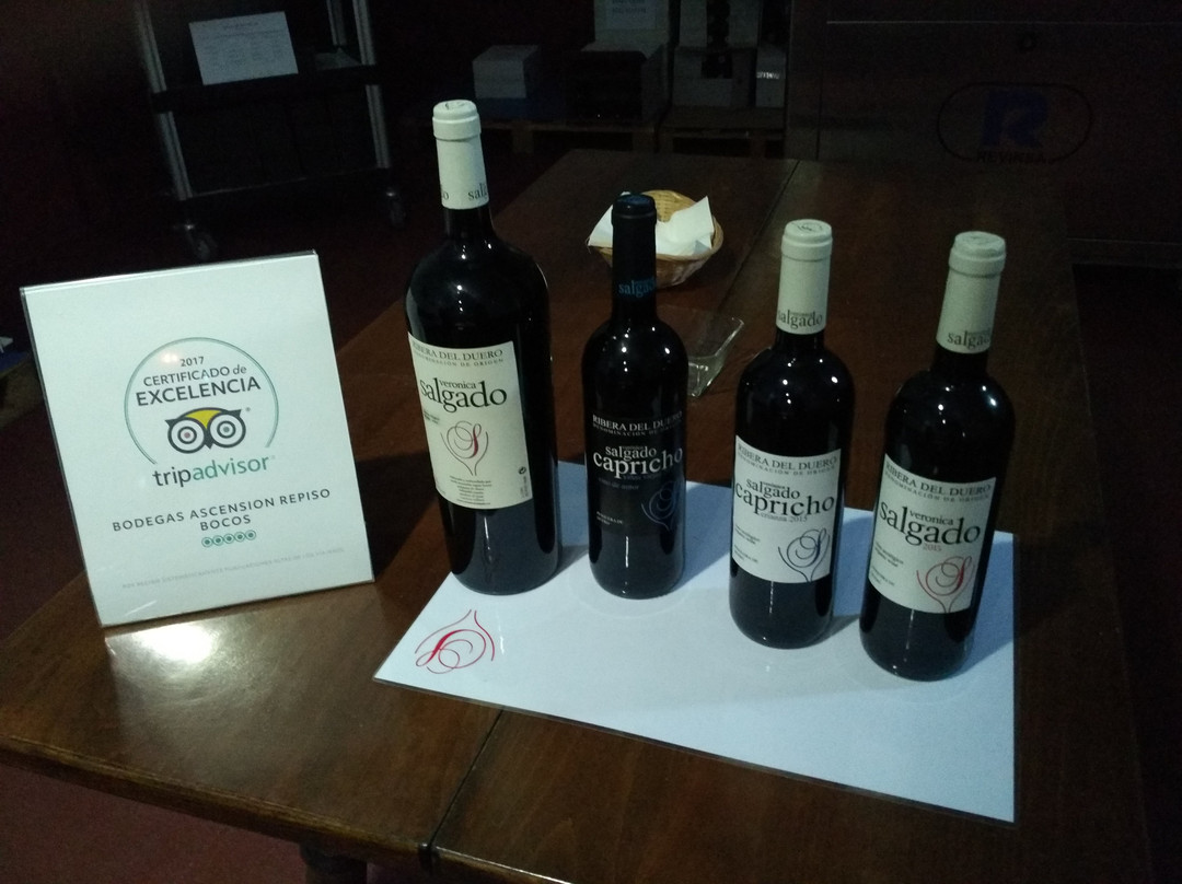 Bodegas Ascension Repiso Bocos景点图片
