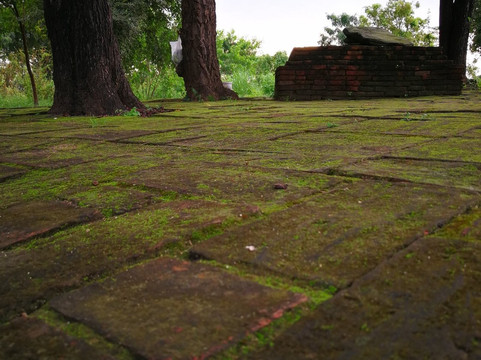 Wat Phra Ngam-大城必去景点