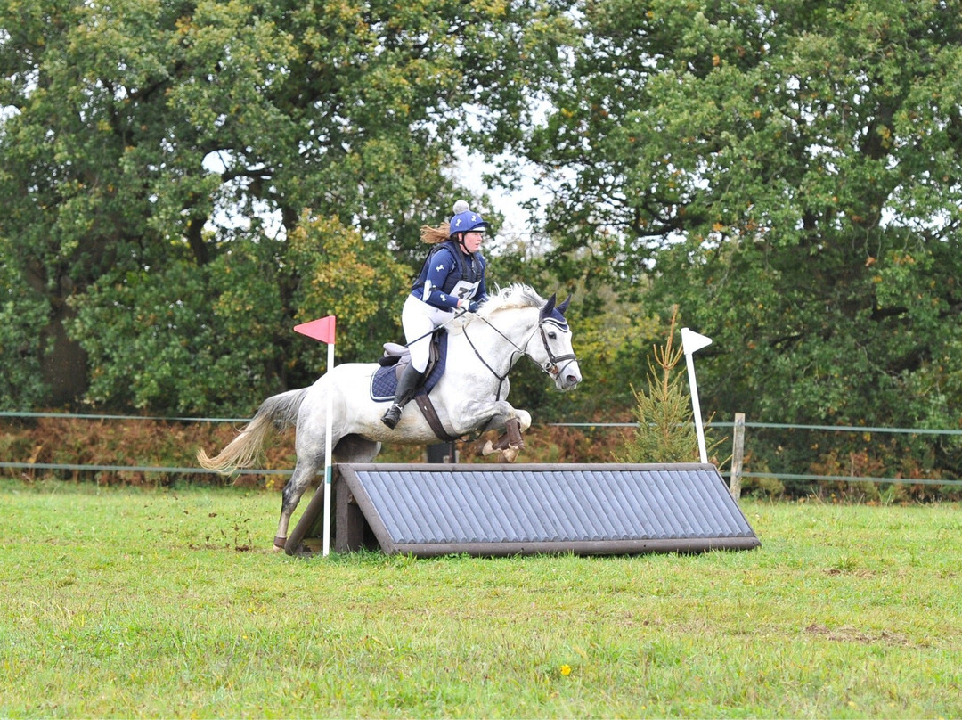 Mayfield Horse Riding Stables景点图片