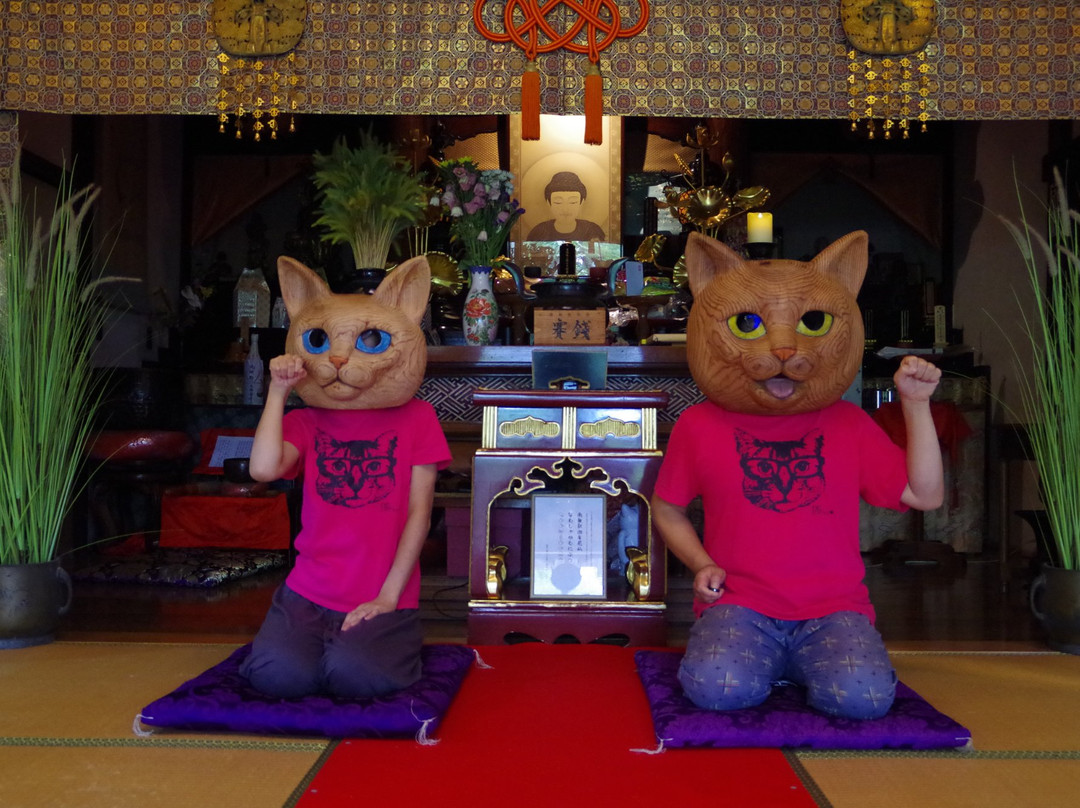 Unrin-ji Cat Temple-萩市必去景点