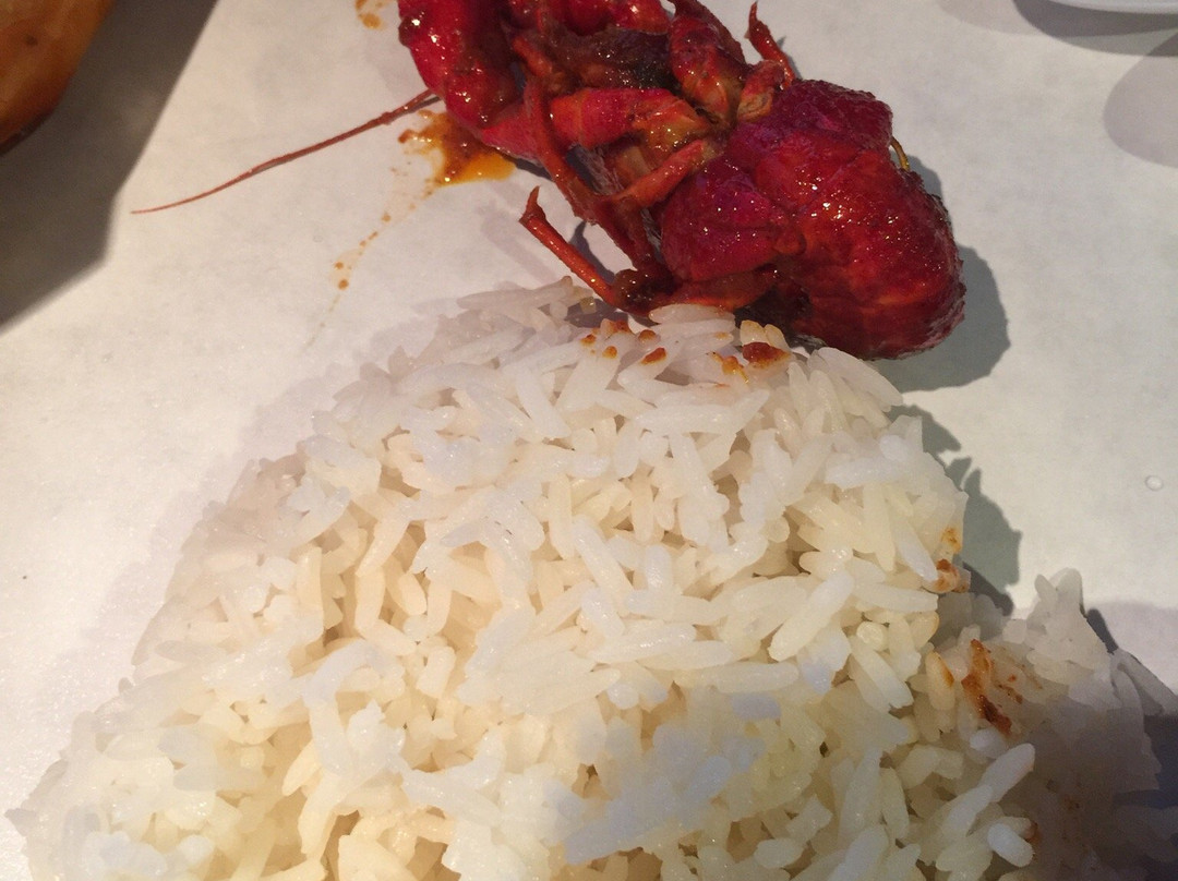 The Shrimp Lover