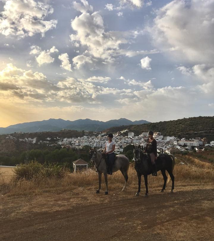 Malaga Horse Trails景点图片