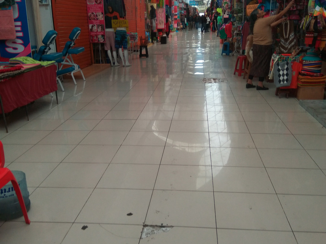 Feria 28 de Julio-塔克纳必去景点