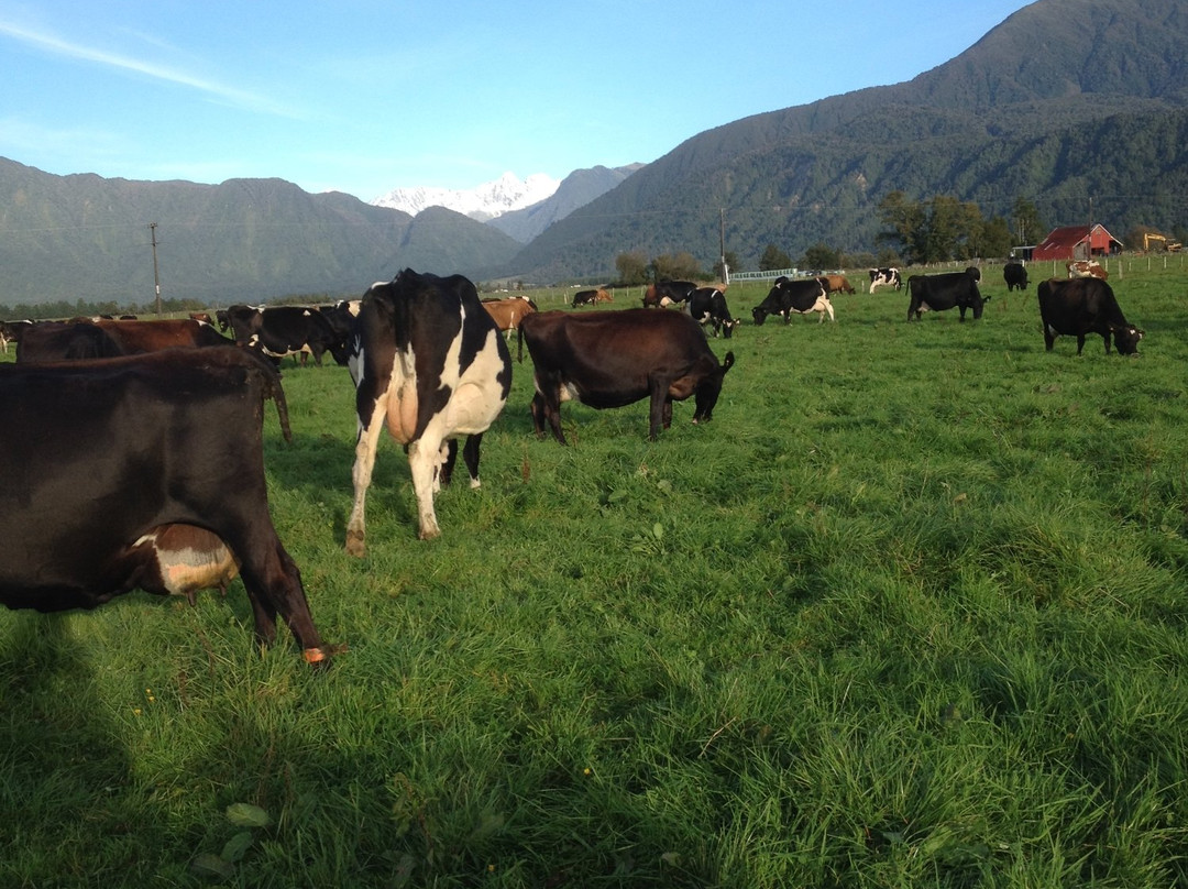 Farwest Farm Tours景点图片