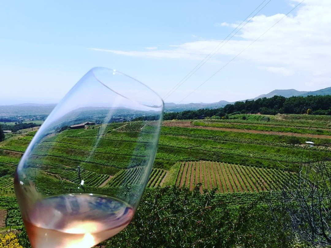 Winery Tasting Sicily-Pedara必去景点