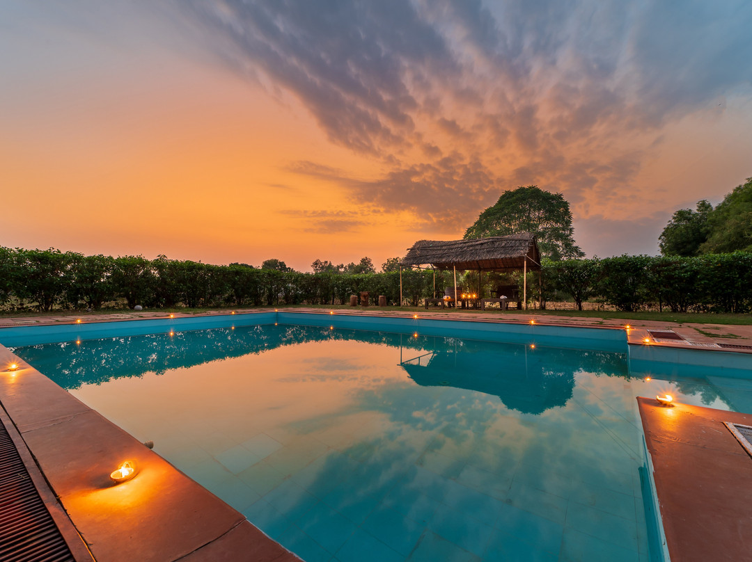 Ranwal酒店住宿-Tiger Machan