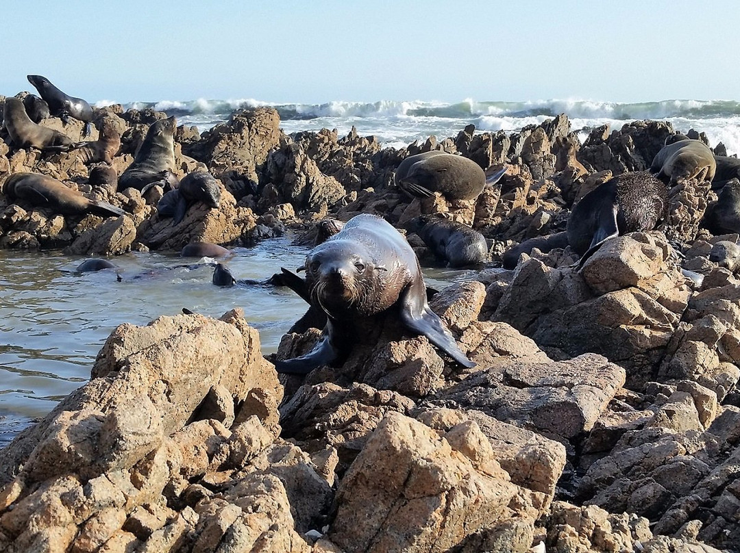 PeruStep1-利马必去景点