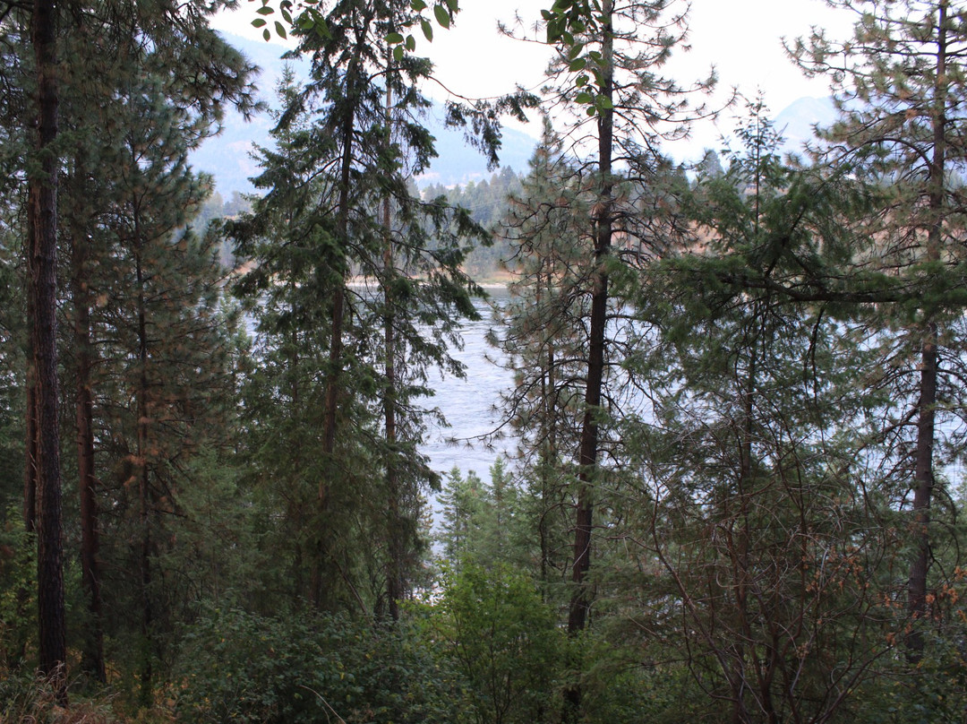 Twin Rivers Motel & RV Park主图