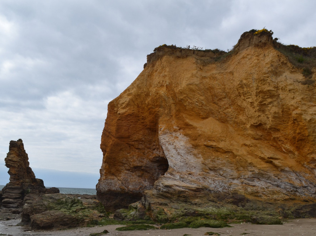 Pointe du Bile景点图片