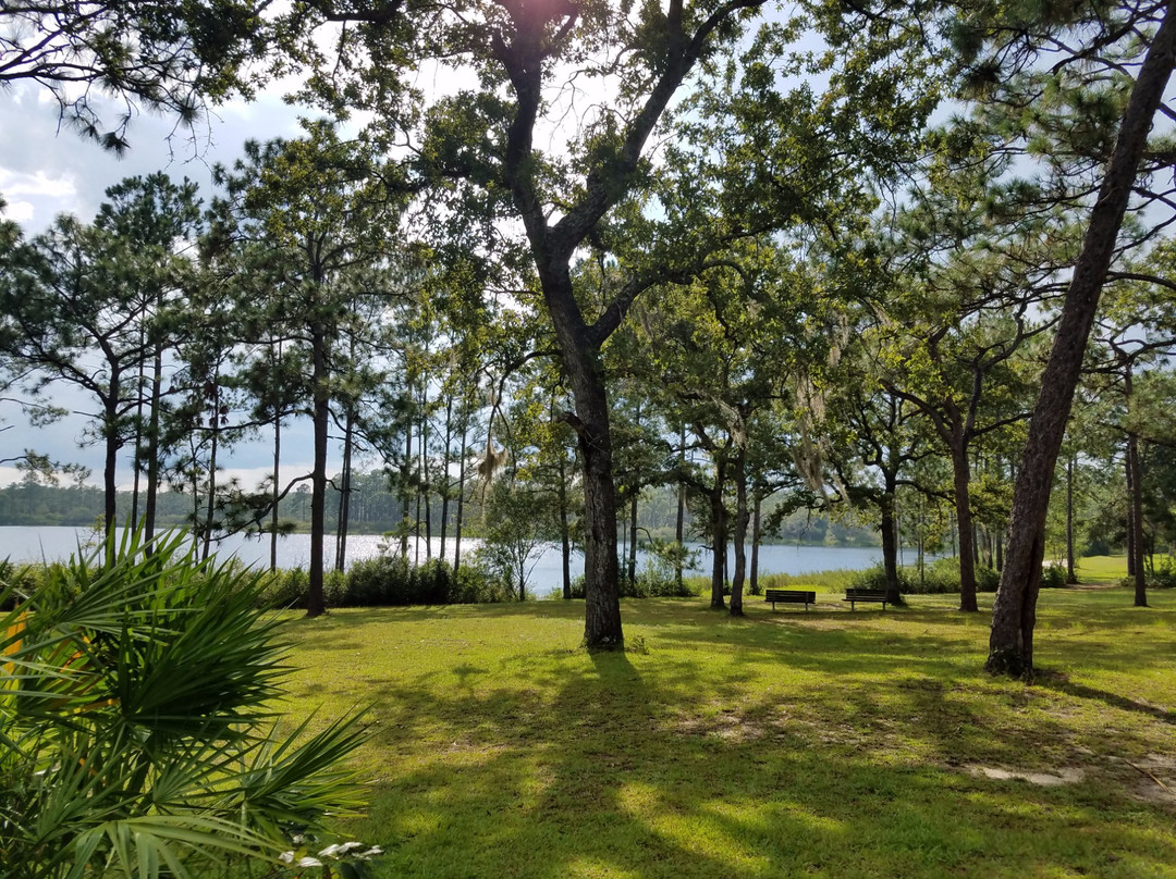 Apalachicola National Forest景点图片