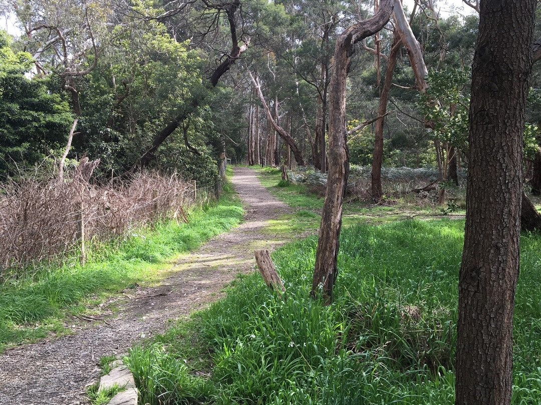 Olivers Creek Bushland Reserve景点图片