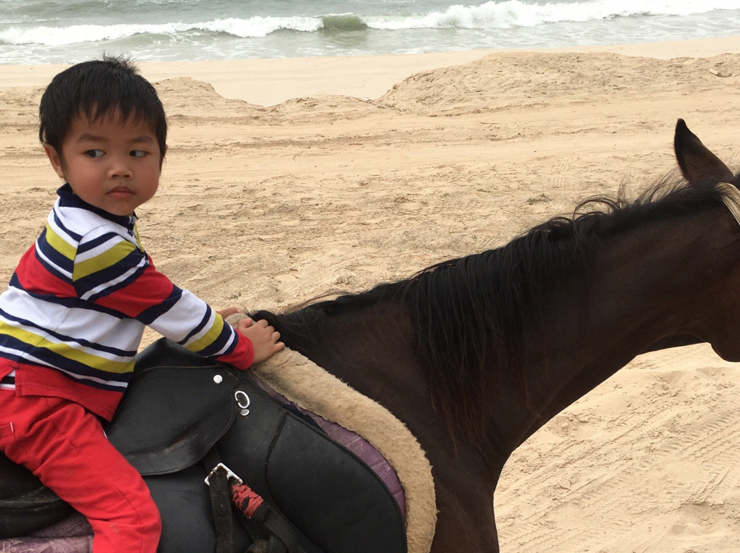Salalah Horse Riding-塞拉莱必去景点