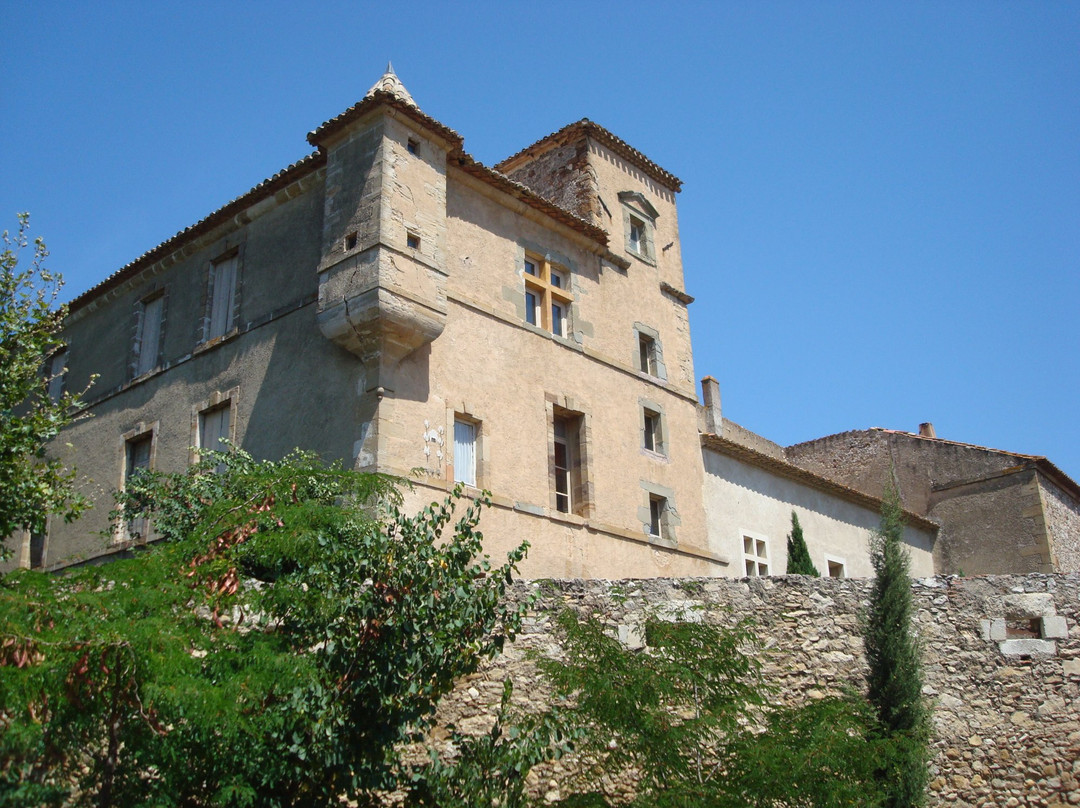 Château de Luc - Famille Fabre景点图片