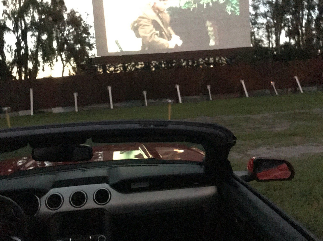 Ruskin Family Drive-In-Ruskin必去景点