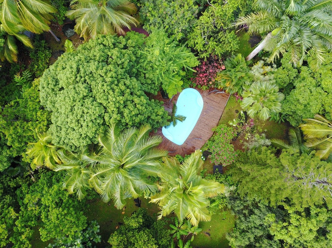 Sainte Rose酒店住宿-Gites les Manguiers Marie et Fred