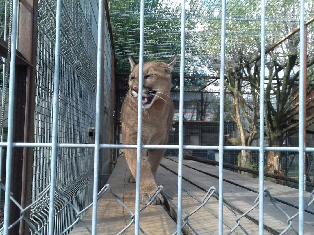 Jonusai旅游攻略图片