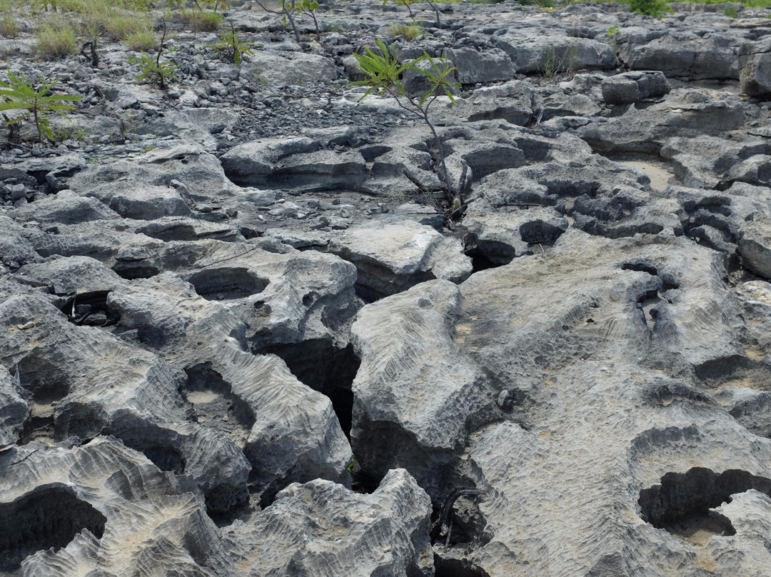 Lajedo da Soledade-Mossoro必去景点