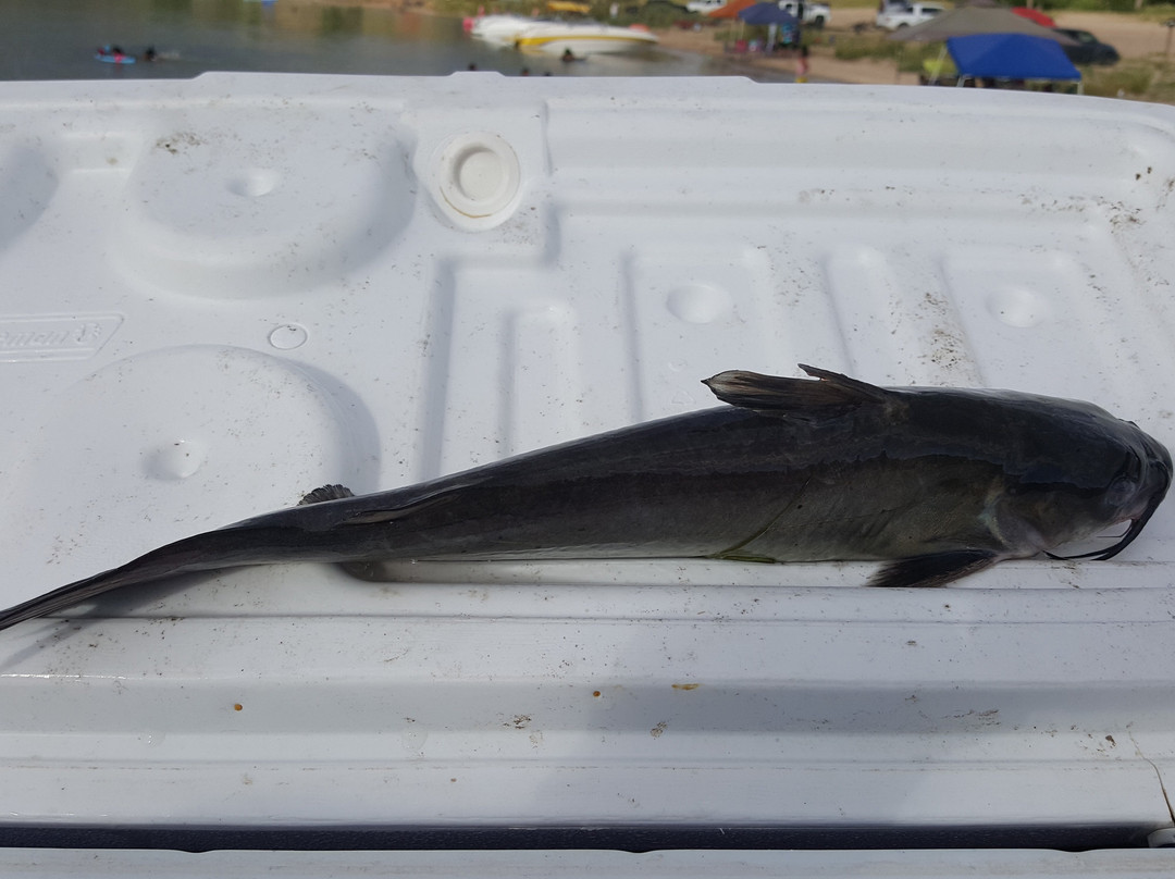 Greenbelt Lake-Clarendon必去景点