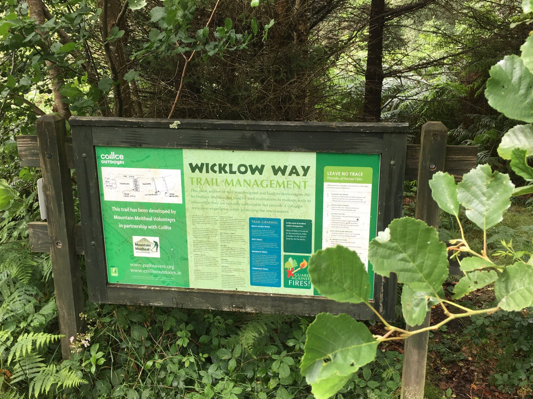 Wicklow Head-Wicklow必去景点