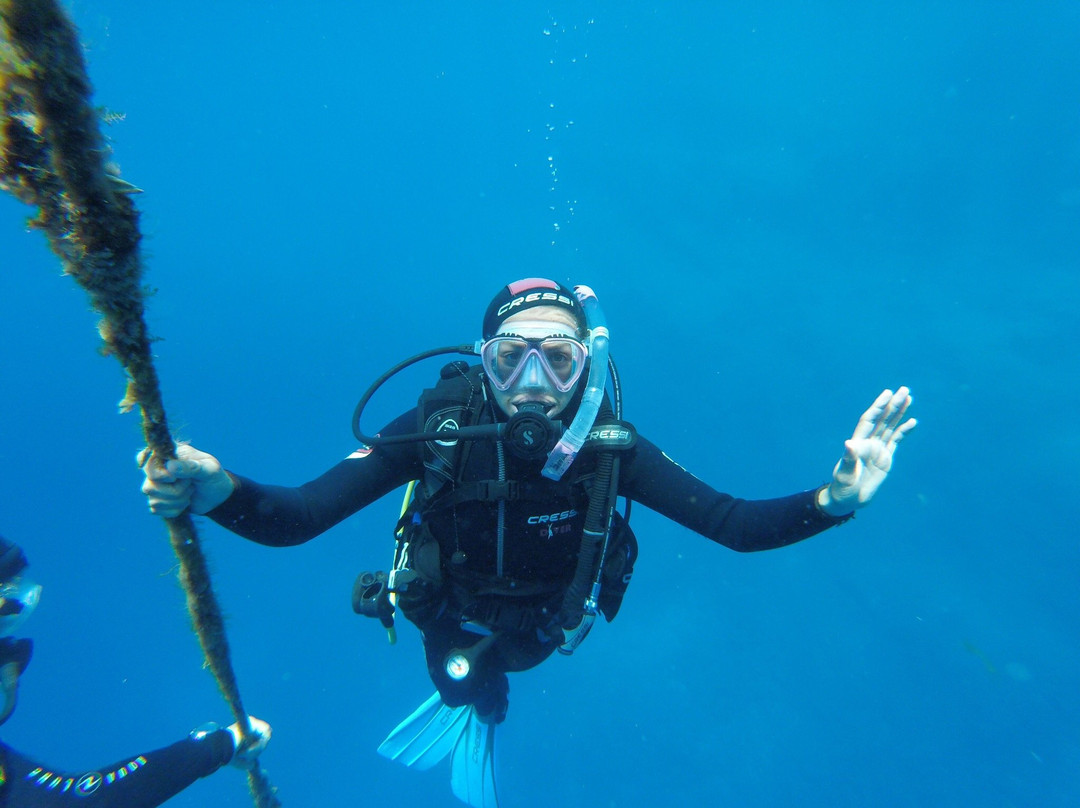 Cycladic Diving景点图片