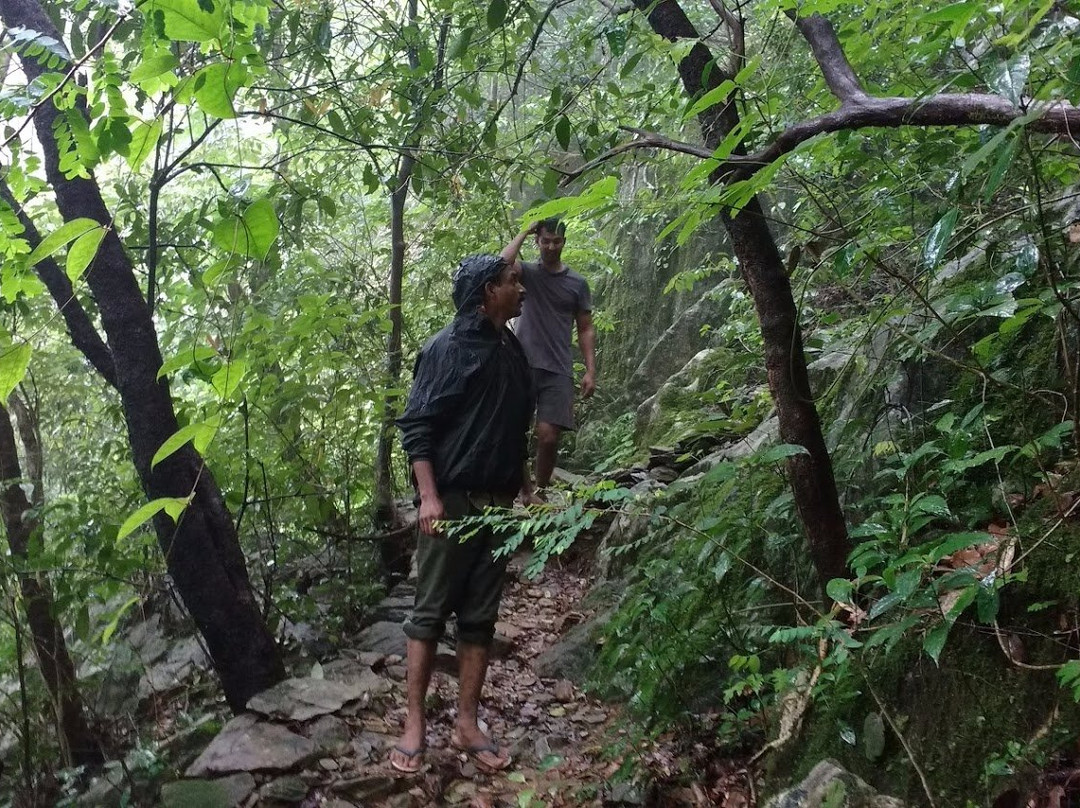 Meenmutty Falls-卡尔贝塔必去景点