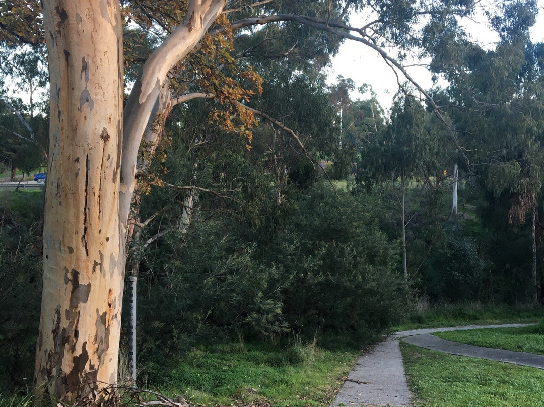 Whatmough Park-Greensborough必去景点