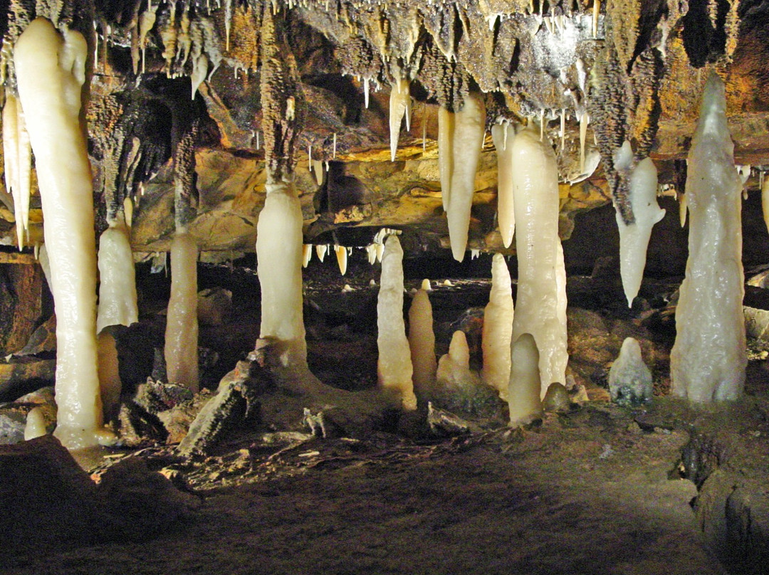 Ohio Caverns-West Liberty必去景点
