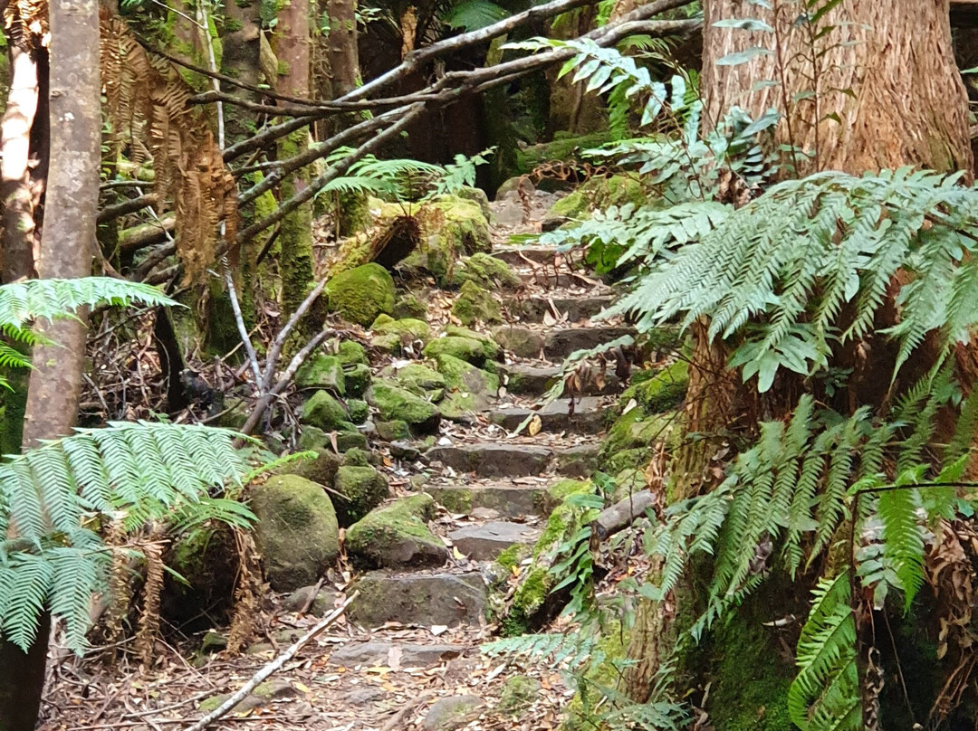 O'Grady's Falls Aka Oates Falls