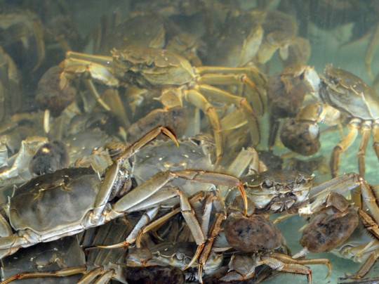 上环街市-香港必去景点