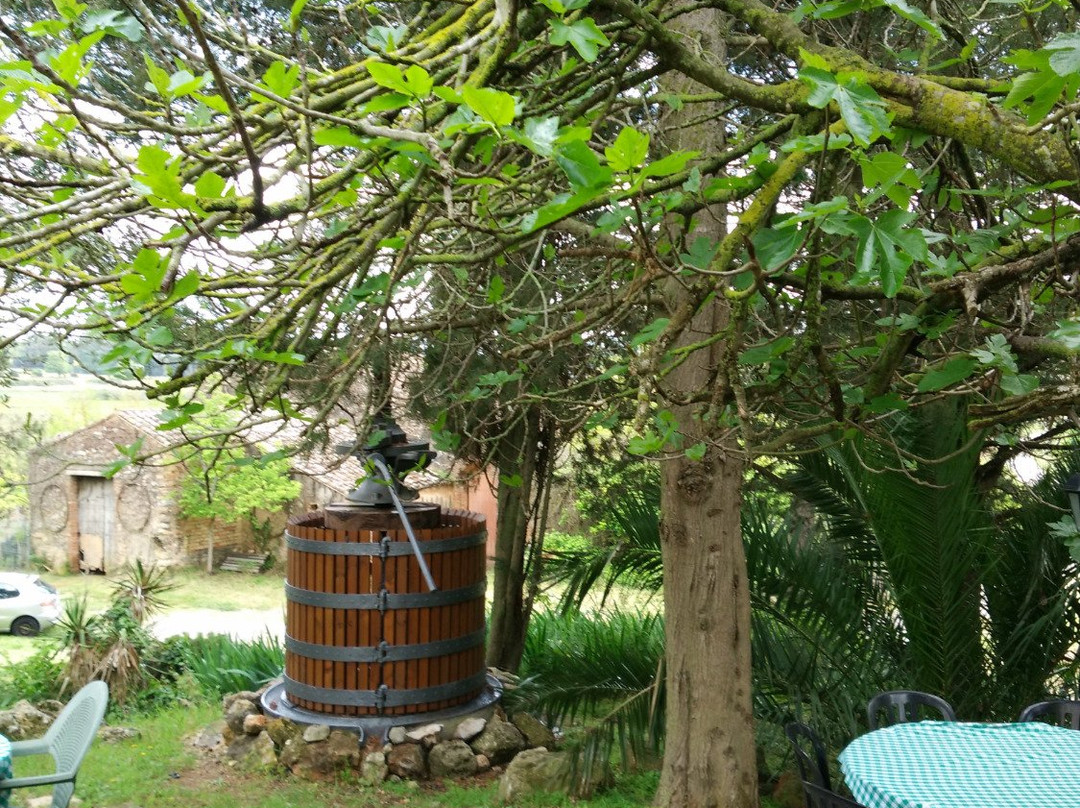 Montau de Sadurni-Begues必去景点