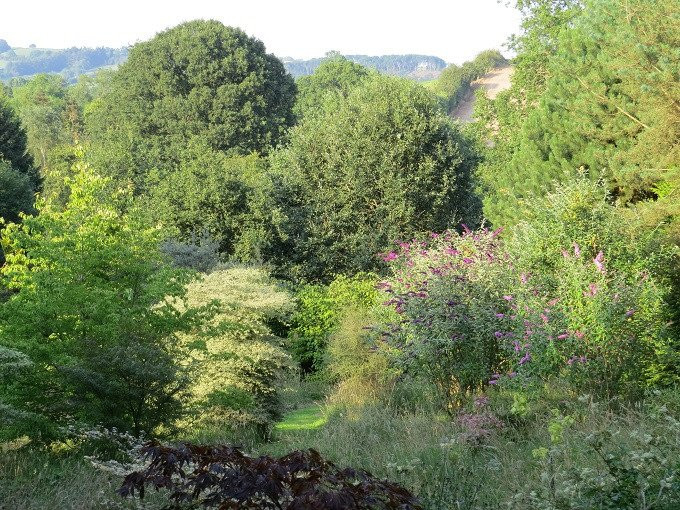 Moors Meadow Gardens景点图片