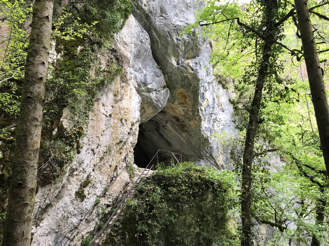 Grotte des Faux-Monnayeurs景点图片