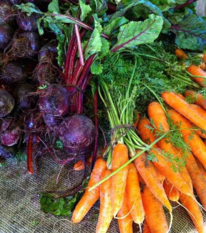 Paardevlei Farmers Market-西索美塞必去景点