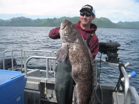 Kodiak Island Adventures-Kodiak必去景点
