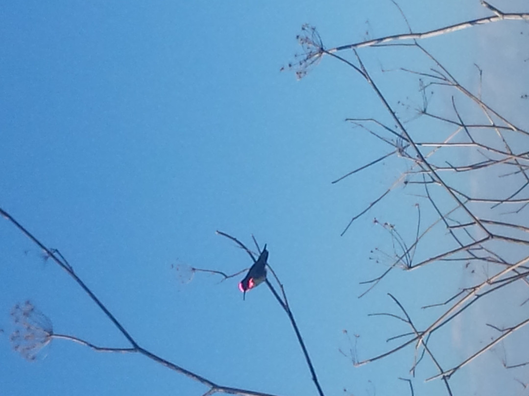 Fairview Park-科斯塔梅沙必去景点