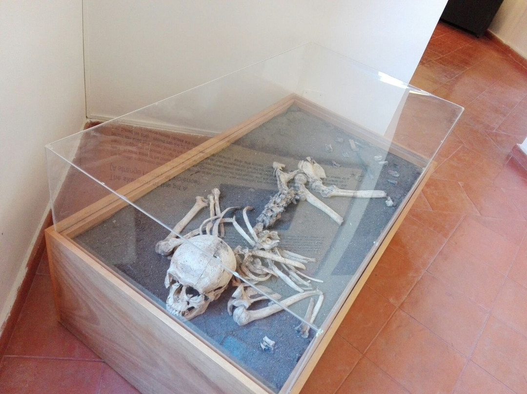 Museo Archeologico Nazionale Di Eboli景点图片