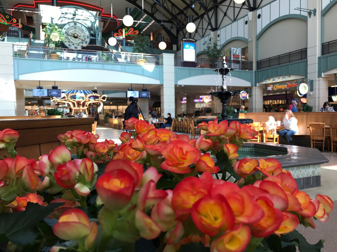 Regal Mall Of Georgia-比福德必去景点