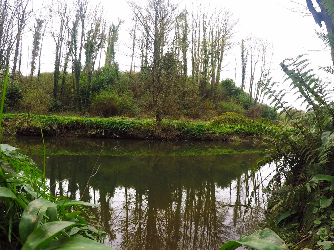 Courtown Woods-Gorey必去景点