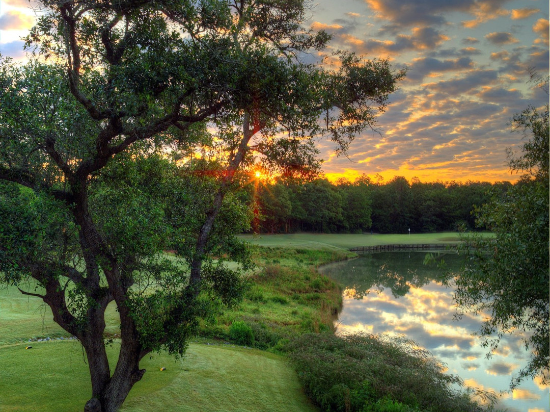 The Oaks Golf Club景点图片