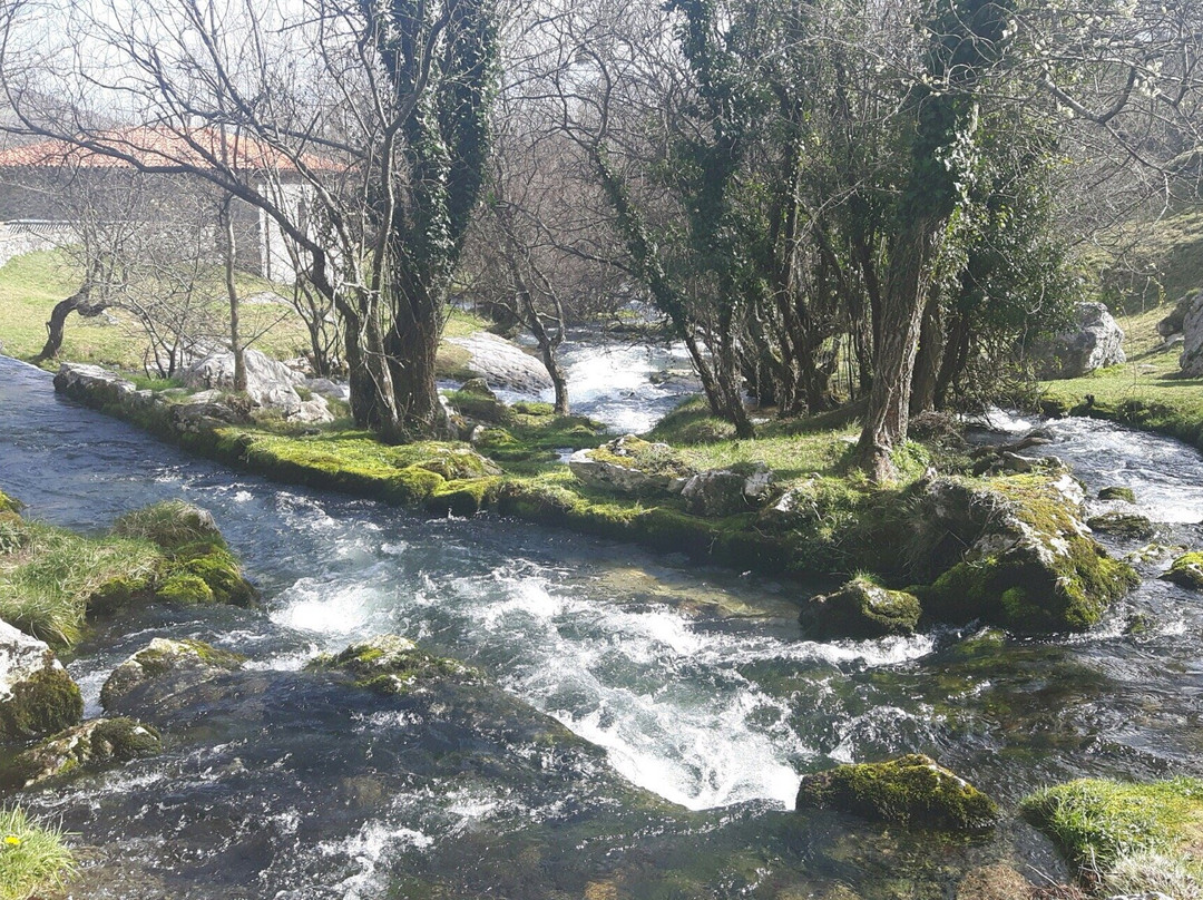 Nacimiento del Rio Gandara景点图片