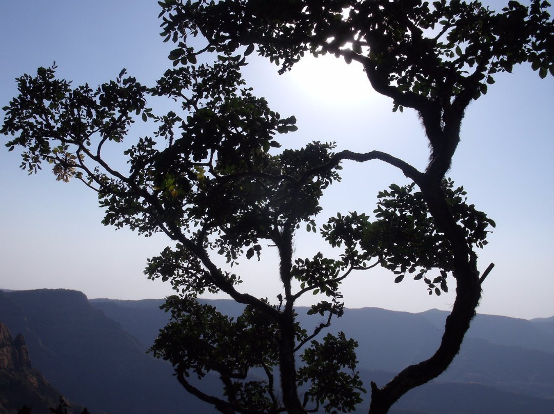 HORNBILL RESORT主图