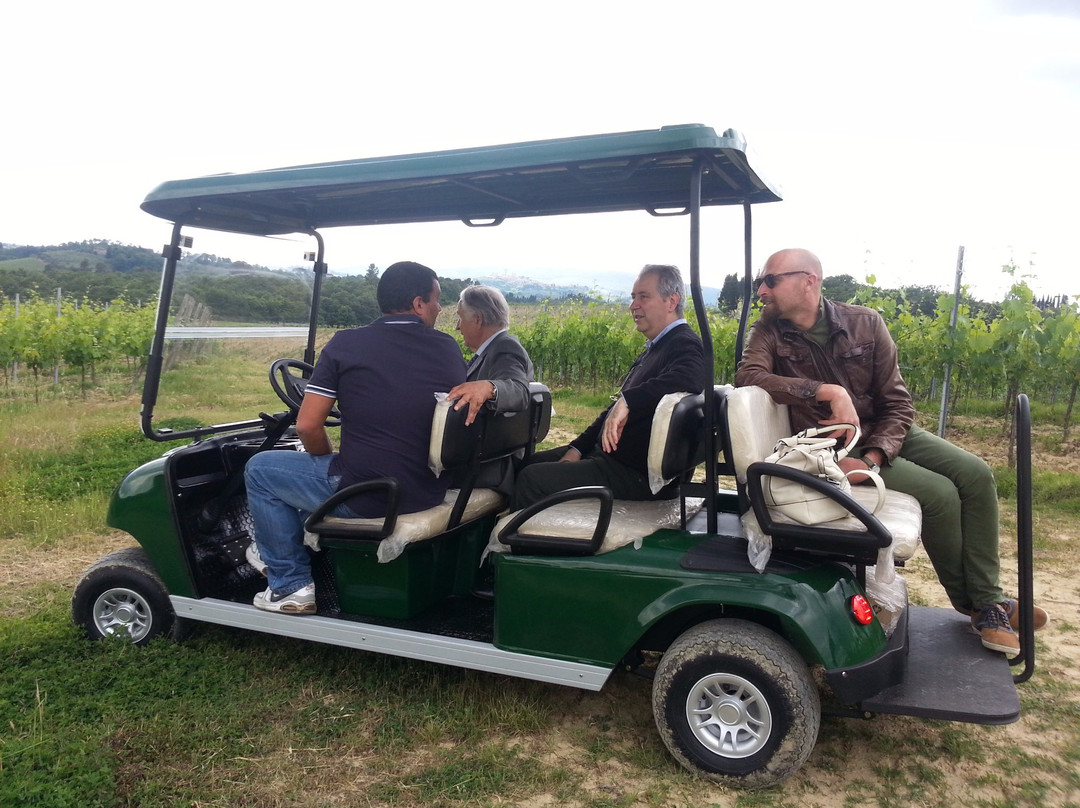 Eco Wine Tour in Tuscany景点图片
