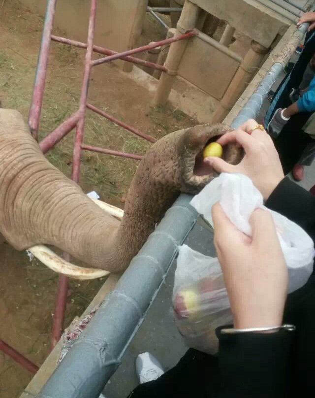 西霞口-荣成市必去景点
