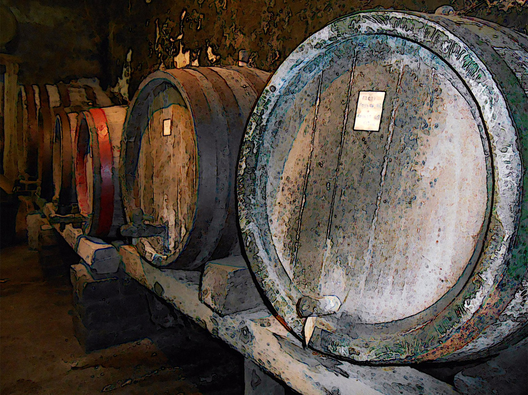 Vinarija Jovic景点图片