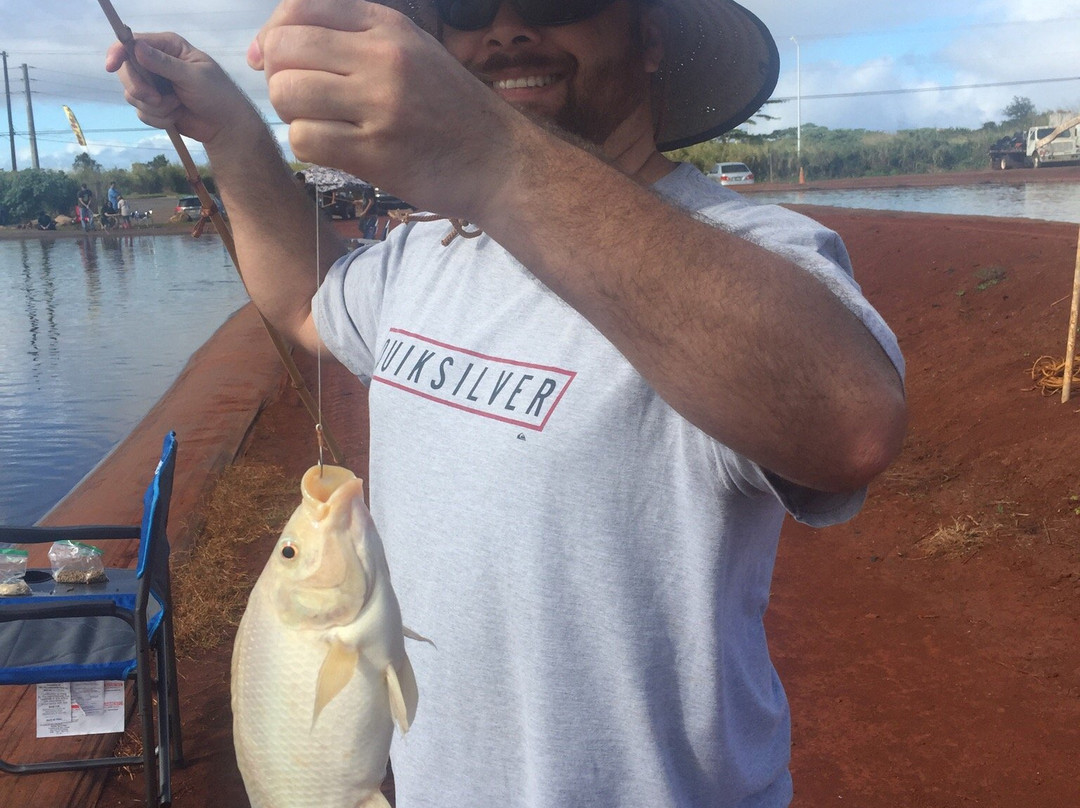 Ali'i Agriculture Farms-瓦西瓦必去景点
