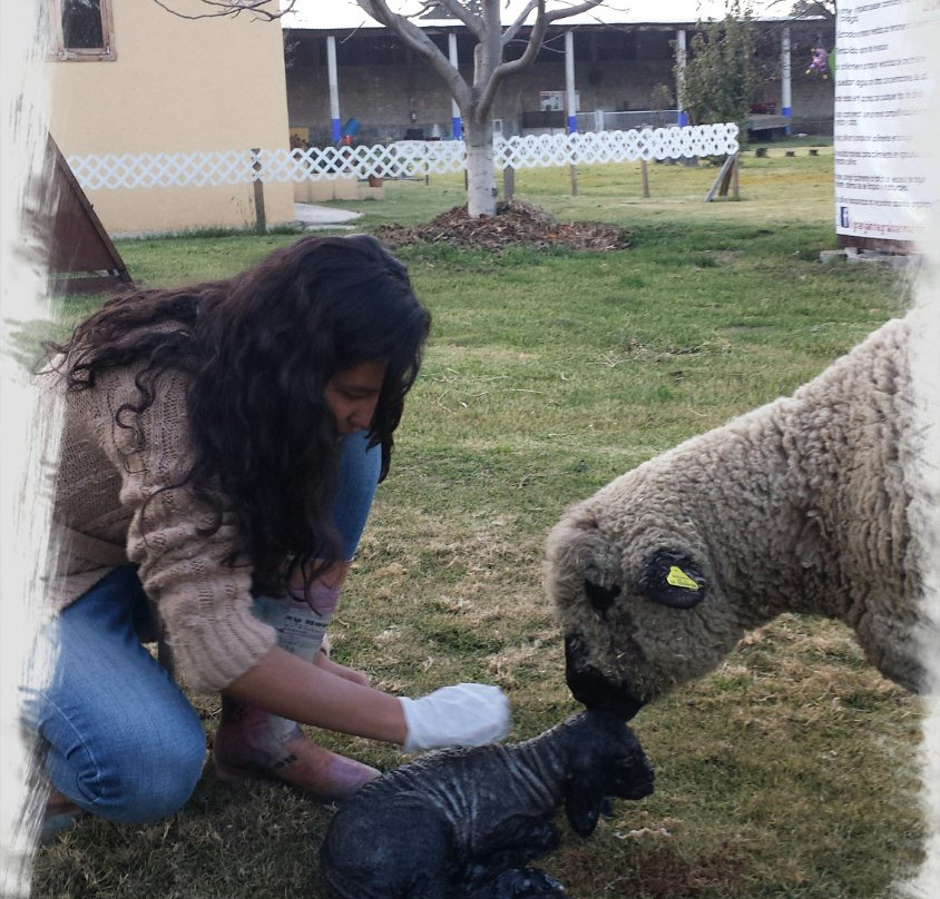 Granja Integral San Martin-墨西哥城必去景点