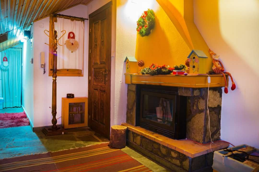 Guesthouse Theodorou主图