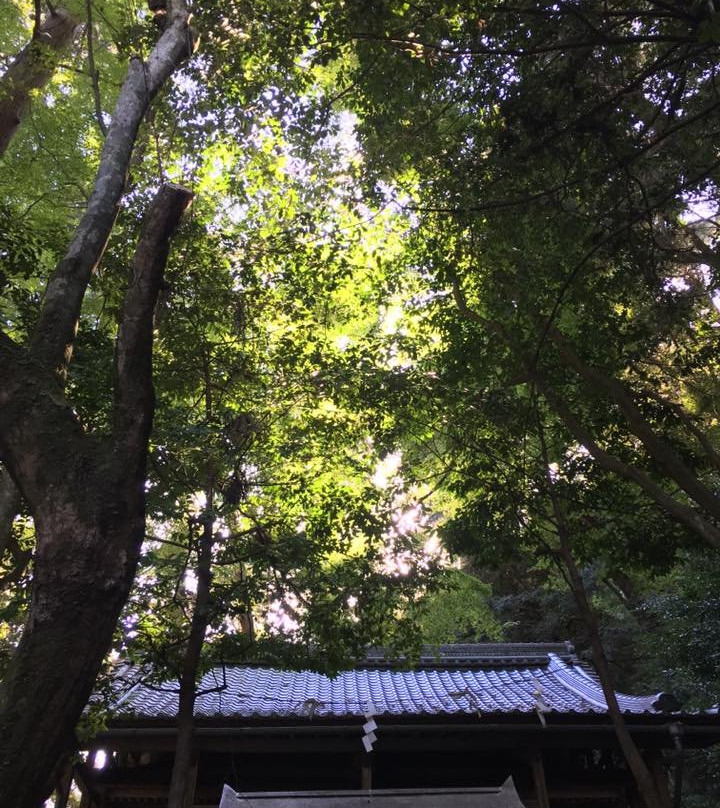 Ogura Shrine-大山崎町必去景点