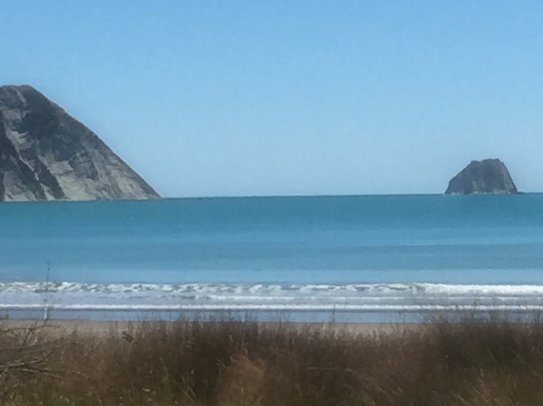 Tolaga Bay Holiday Park景点图片