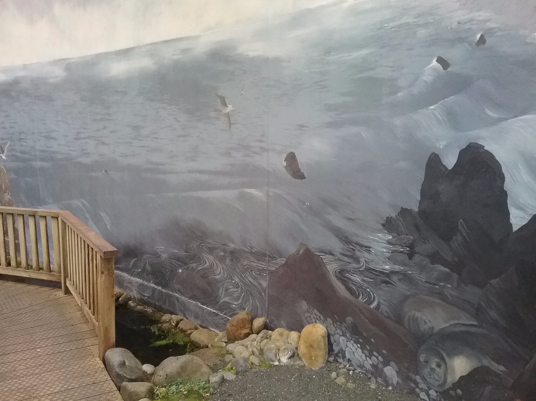 Sub-Antarctic Plant House-霍巴特必去景点